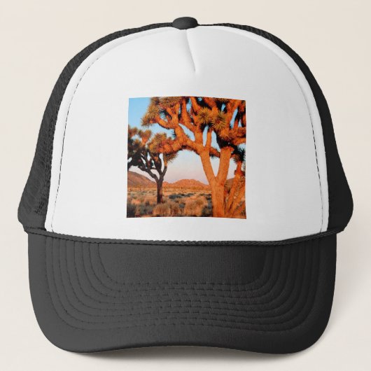 Park Sunrise Joshua Tree Monument California Trucker Pet (Voorkant)