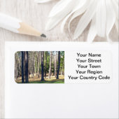 Park Trees Etiket (Insitu)