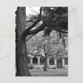 Park uitzicht briefkaart