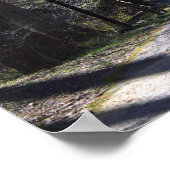 Park Walking Bridge Poster (Hoek)