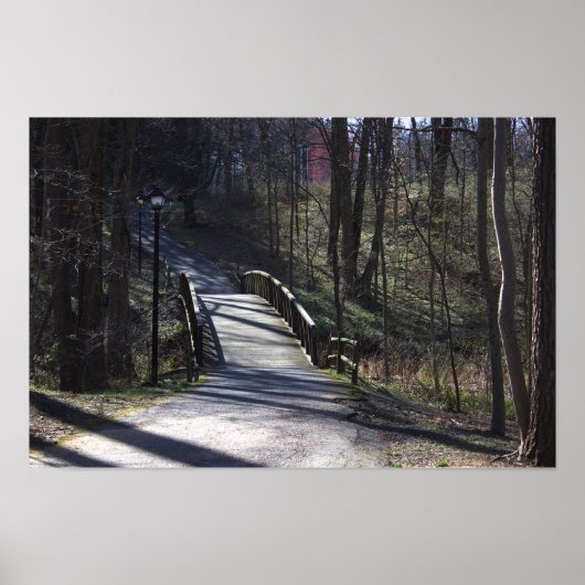 Park Walking Bridge Poster (Voorkant)