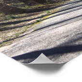 Park Walking Bridge Poster (Hoek)