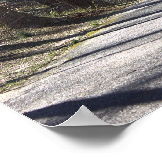 Park Walking Bridge Poster (Hoek)