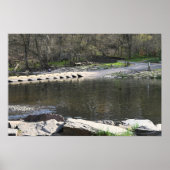 Park Waterscape Poster (Voorkant)