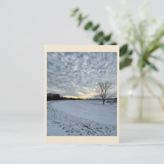 Park Winter Sunset Briefkaart (Staand voorkant)