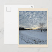 Park Winter Sunset Briefkaart (Voorkant / Achterkant)