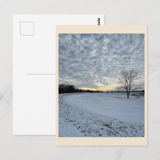 Park Winter Sunset Briefkaart (Voorkant / Achterkant)