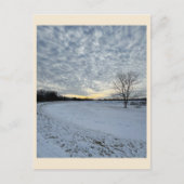 Park Winter Sunset Briefkaart (Voorkant)