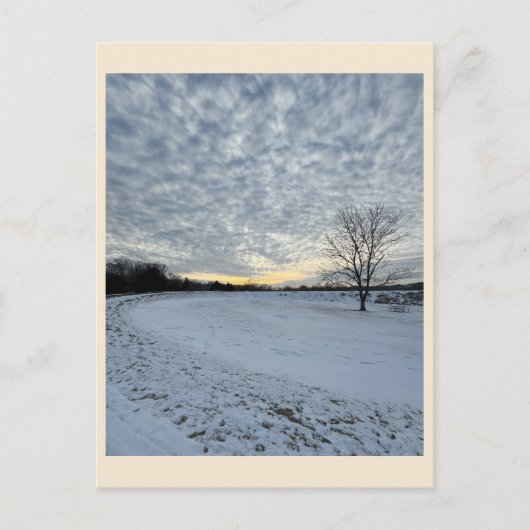 Park Winter Sunset Briefkaart (Voorkant)