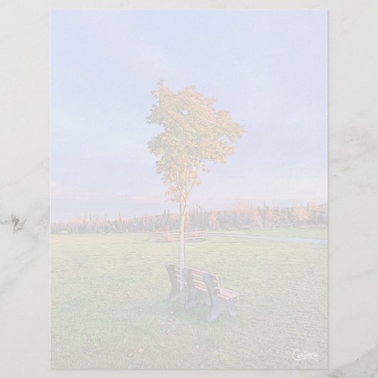 Parkbank - 8,5 inch x 11 inch briefpapier (Voorkant)