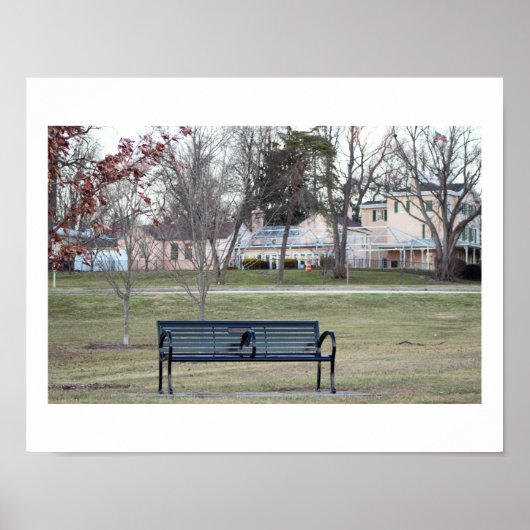 Parkbank Foto Poster (Voorkant)