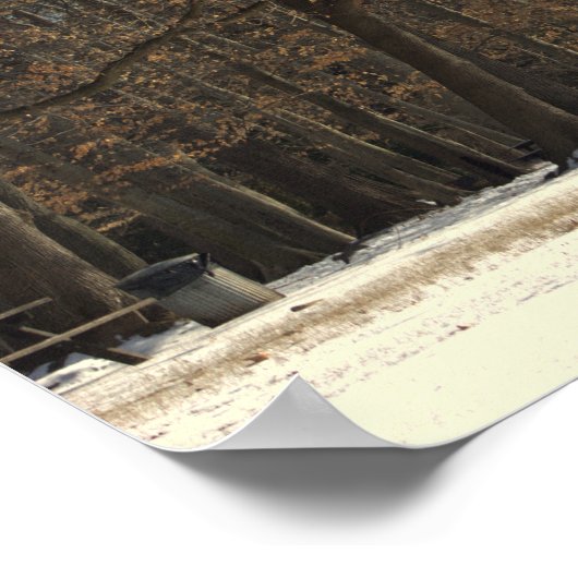 Parkbomen en Sneeuw Poster (Hoek)