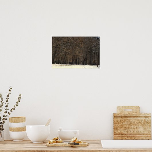 Parkbomen en Sneeuw Poster (Keuken)