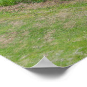 Parkbomen naast het groene landschap langs de weg poster (Hoek)