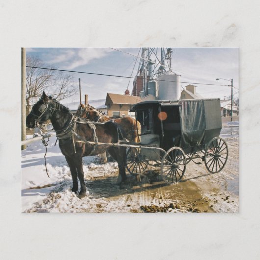 Parked Horse and Buggy Briefkaart (Voorkant)