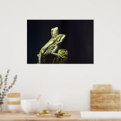 Parkeerluizen Poster (Keuken)