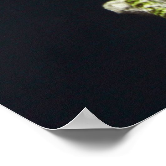 Parkeerluizen Poster (Hoek)