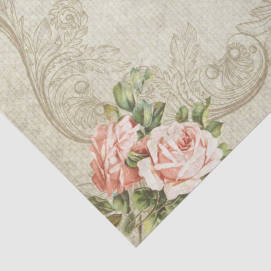 Parkeerroze roze rozen ontkoppelen tissuepapier (Detail)