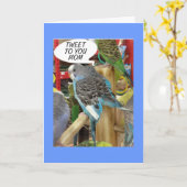 PARKEET WIL HAPPY MOEDERDAG TWEETEN AAN MAMA KAART (Gele Bloem)