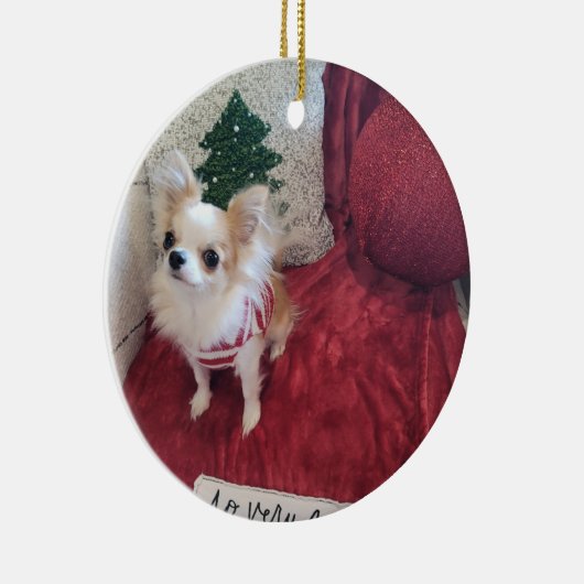 Parker Christmas Ornament 2024 (Rechts)