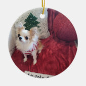 Parker Christmas Ornament 2024 (Voorkant)