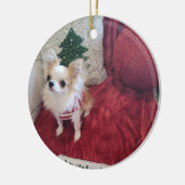 Parker Christmas Ornament 2024 (Links)