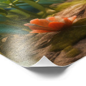 Parker - De rode kardinaal chick Foto Afdruk (Hoek)