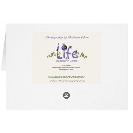 Parker National Wildlife Refuge: Plum Island (Achterkant Horizontaal)