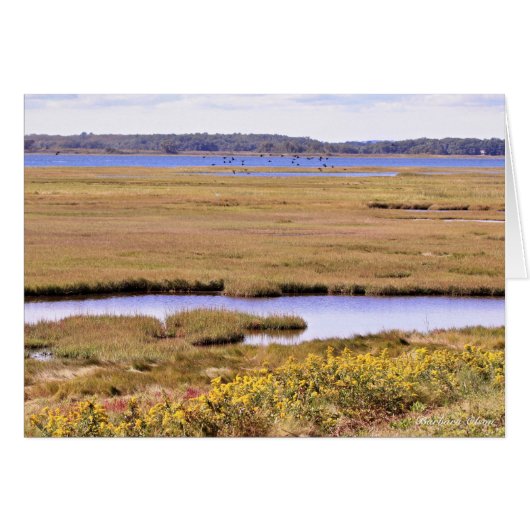 Parker National Wildlife Refuge: Plum Island (Voorkant Horizontaal)