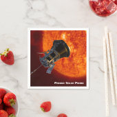 Parker Solar Probe Spacecraft Servet (Insitu)