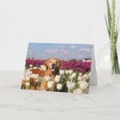 ParkerPup Bedankt kaarten (Voorkant)