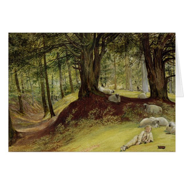 Parkhurst Bossen, Abinger, Surrey (Voorkant Horizontaal)