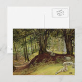 Parkhurst Bossen, Abinger, Surrey Briefkaart (Voorkant / Achterkant)