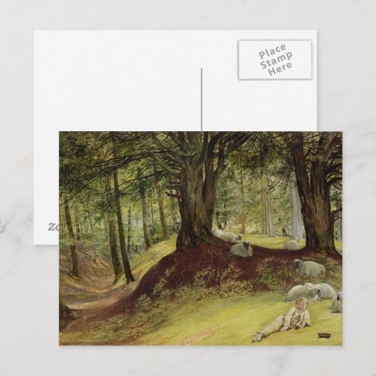 Parkhurst Bossen, Abinger, Surrey Briefkaart (Voorkant / Achterkant)