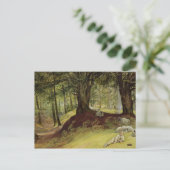 Parkhurst Bossen, Abinger, Surrey Briefkaart (Staand voorkant)