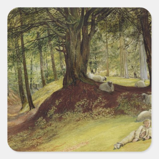 Parkhurst Bossen, Abinger, Surrey Vierkante Sticker (Voorkant)