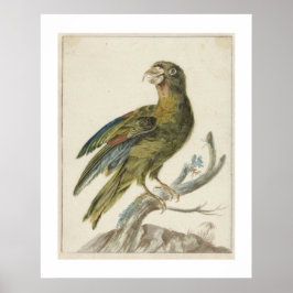 Parkiet (1670 - 1719) door Jan Weenix  Poster