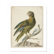 Parkiet (1670 - 1719) door Jan Weenix