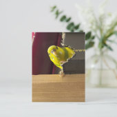 Parkiet Bekijk een boek Briefkaart (Staand voorkant)