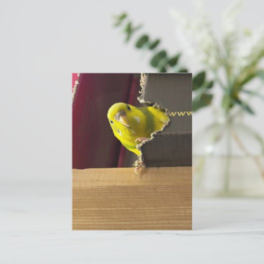 Parkiet Bekijk een boek Briefkaart (Staand voorkant)