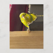 Parkiet Bekijk een boek Briefkaart (Voorkant)