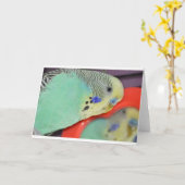 Parkiet die in spiegel kijken kaart (Gele Bloem)