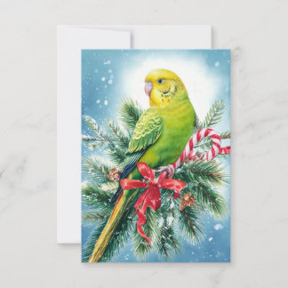 Parkiet en snoep Cane Christmas Kaart