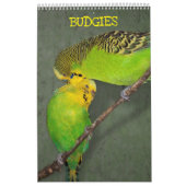 Parkiet Kalender (Hoes)