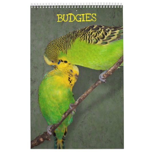 Parkiet Kalender (Hoes)