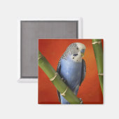 parkiet magneet (Voorkant / Achterkant)