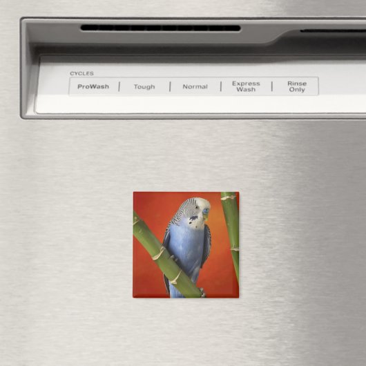 parkiet magneet (Insitu (Vaatwasser))