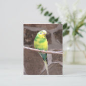 parkiet op een ledemaat briefkaart (Staand voorkant)