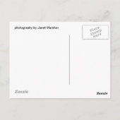 parkiet op een ledemaat briefkaart (Achterkant)