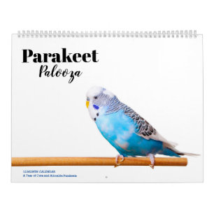 Parkiet Palooza Kalender